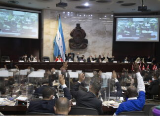 Organizaciones de mujeres siguen a la espera de la aprobación de Ley Integral contra la violencia contra ellas