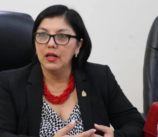 Silvia Ayala denuncia presunta persecución política y judicial contra miembros de LIBRE y sectores de oposición