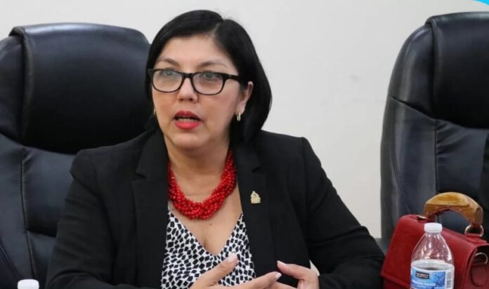 Diputada-Silvia-Ayala