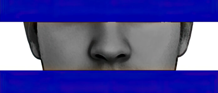 Honduras_Bandera_cara